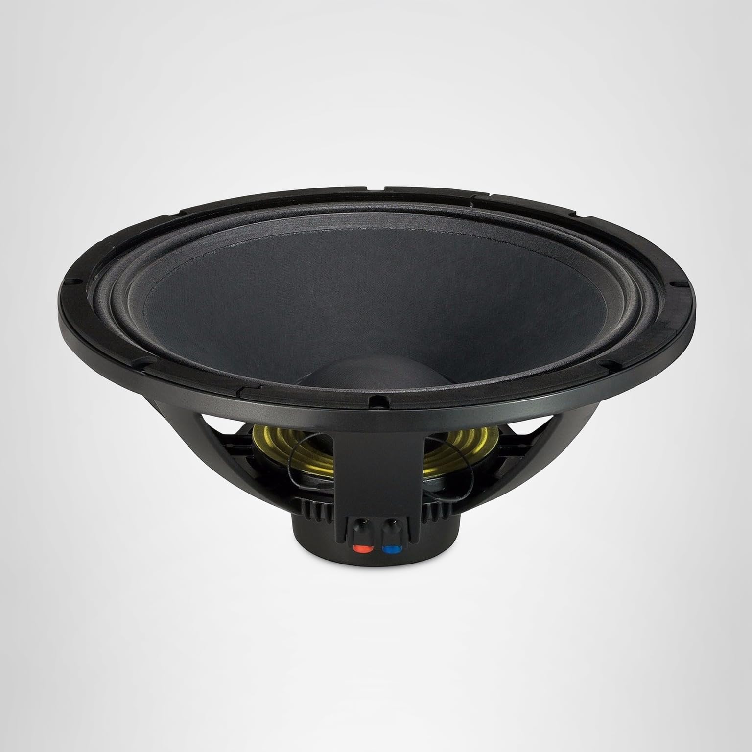 Amazon.com: RCF L18P300 18-Inch Car and DJ Woofer, Black : Electronics